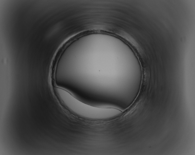 X0000100341020200806191020