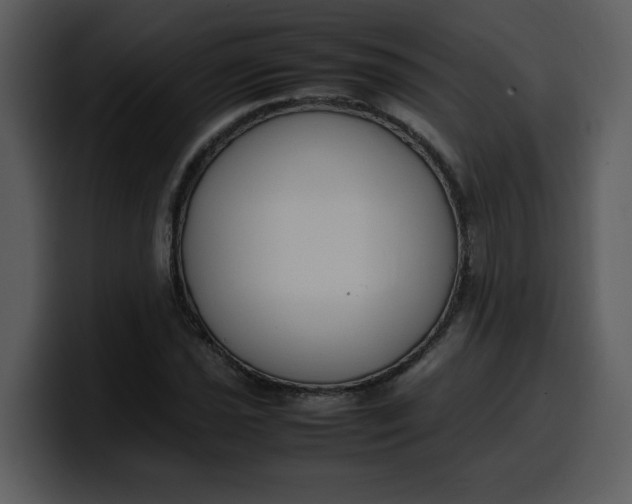 X0000100341021200806191020