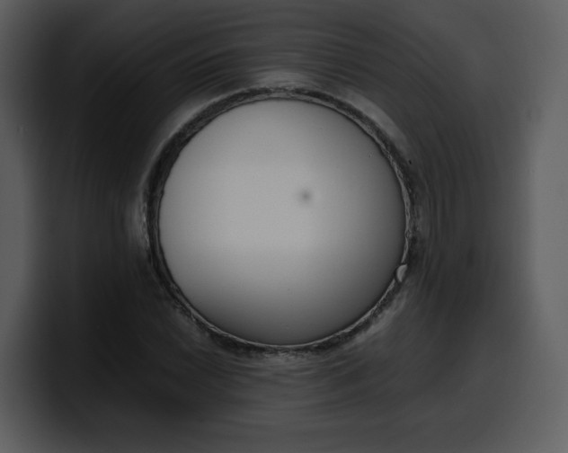 X0000100341022200806191020