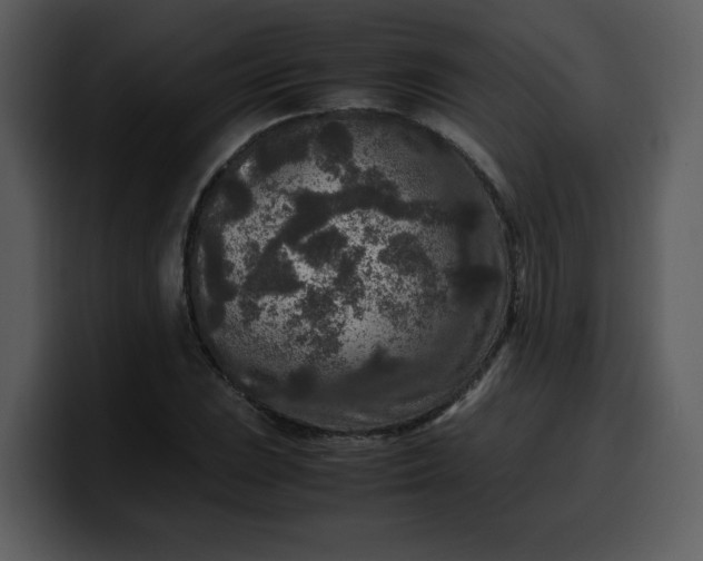 X0000100341023200806191020