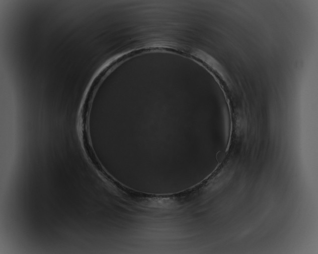 X0000100341024200806191020