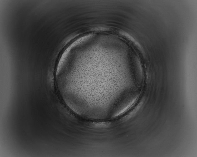 X0000100341025200806191020