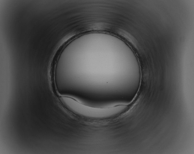 X0000100341026200806191020