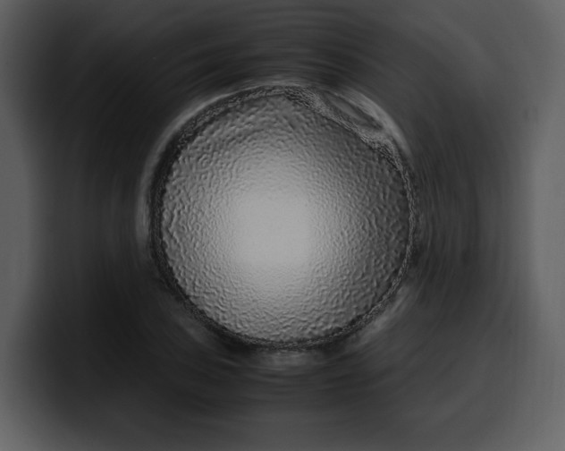 X0000100341027200806191020