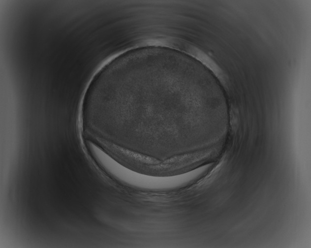 X0000100341028200806191020