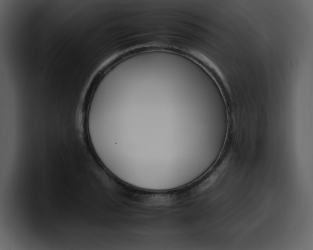 X0000100341029200806191020