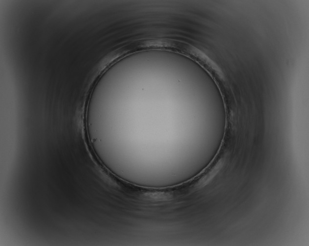 X0000100341033200806191020