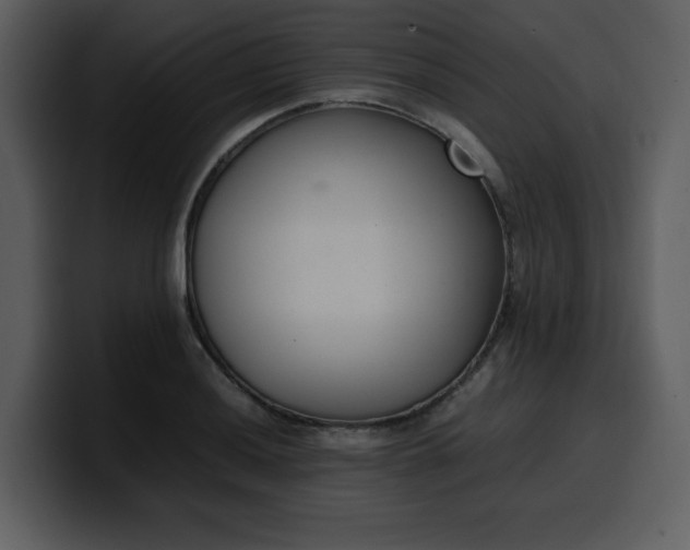 X0000100341036200806191020