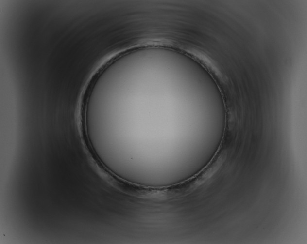 X0000100341038200806191020