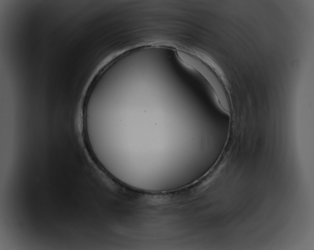 X0000100341040200806191020