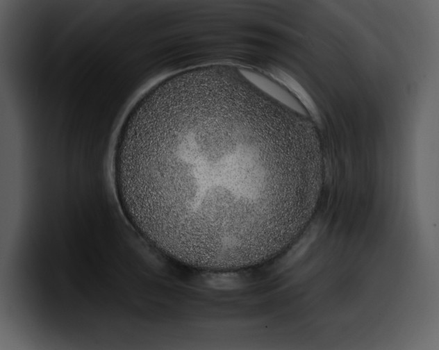 X0000100341043200806191020