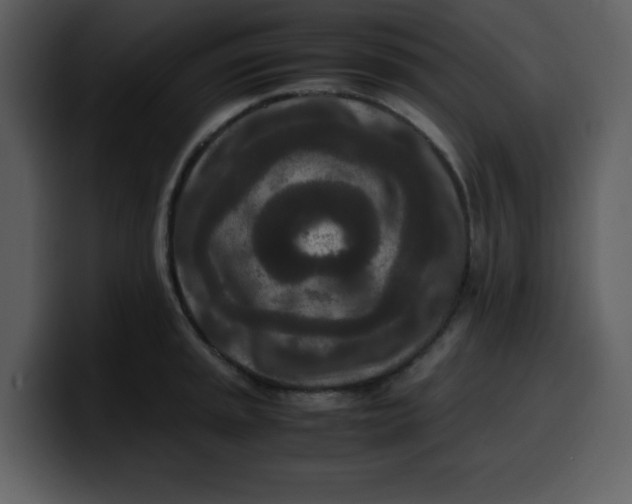 X0000100341045200806191020