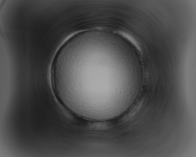 X0000100341047200806191020