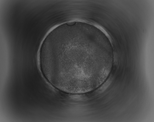 X0000100341048200806191020