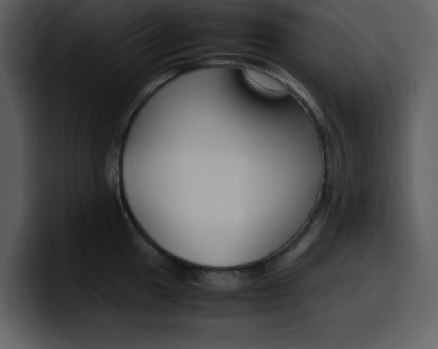 X0000100341049200806191020