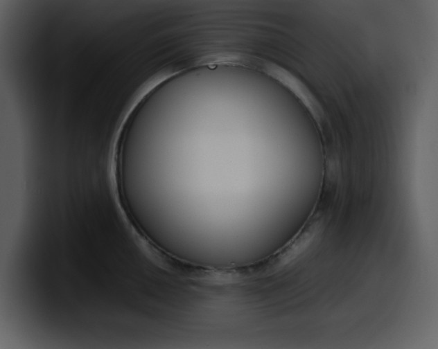 X0000100341050200806191020