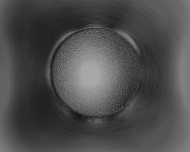 X0000100341051200806191020