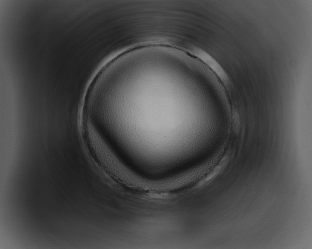 X0000100341052200806191020