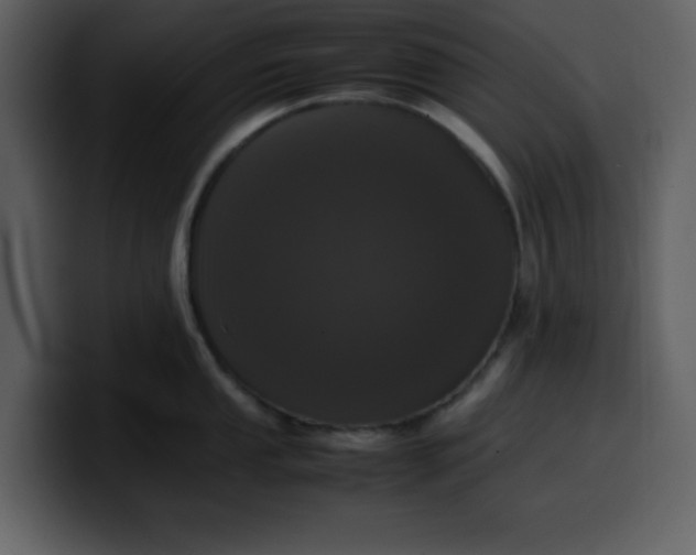 X0000100341053200806191020