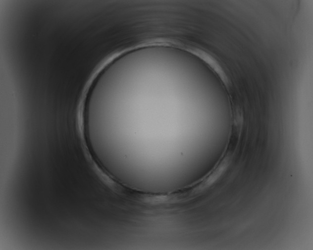 X0000100341054200806191020