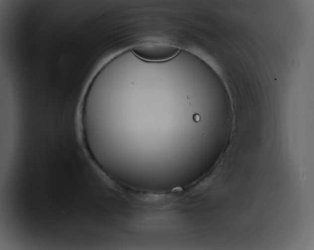 X0000100341056200806191020