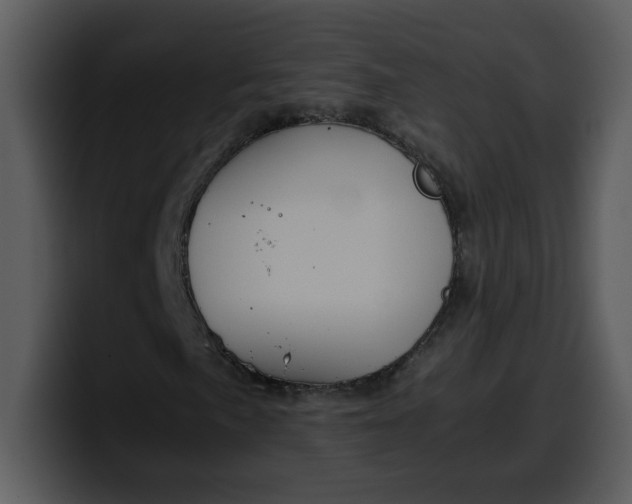 X0000100341057200806191020