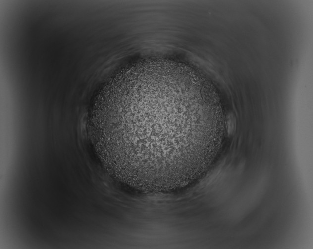 X0000100341059200806191020