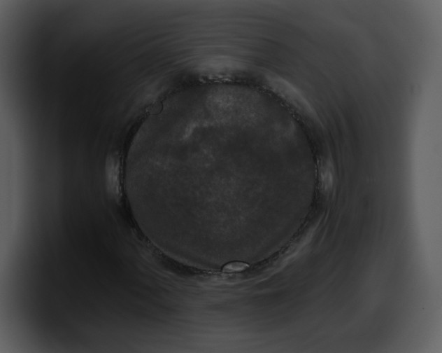 X0000100341060200806191020