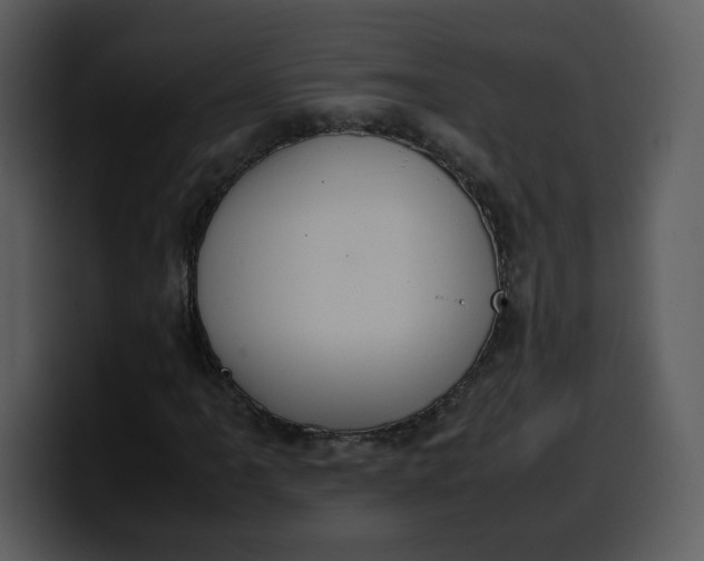 X0000100341061200806191020