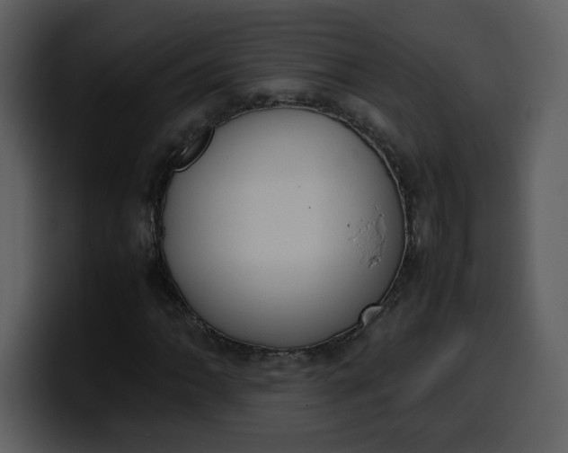 X0000100341062200806191020