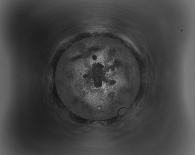 X0000100341063200806191020