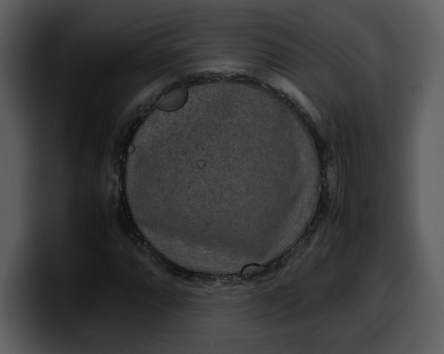 X0000100341064200806191020