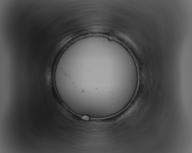 X0000100341065200806191020