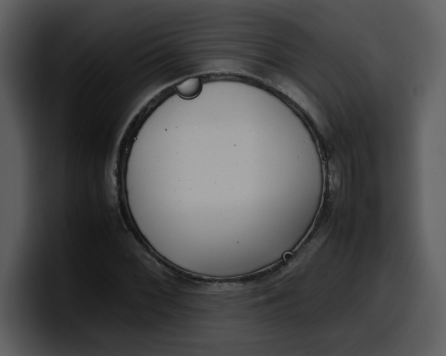 X0000100341068200806191019