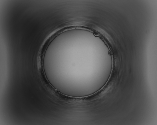 X0000100341069200806191019