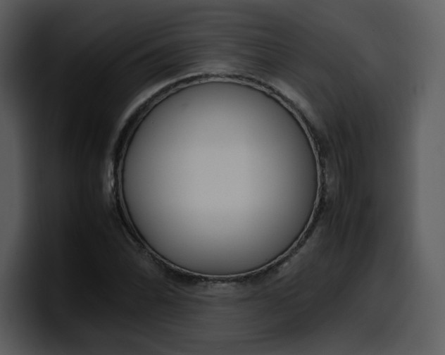 X0000100341070200806191019