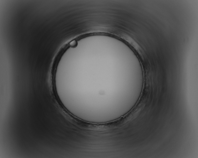 X0000100341072200806191019