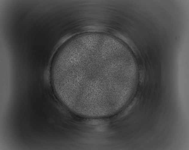 X0000100341074200806191019