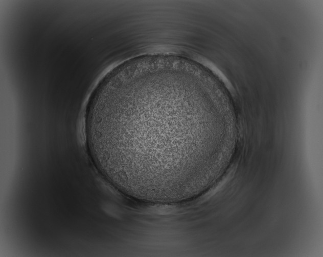 X0000100341075200806191019