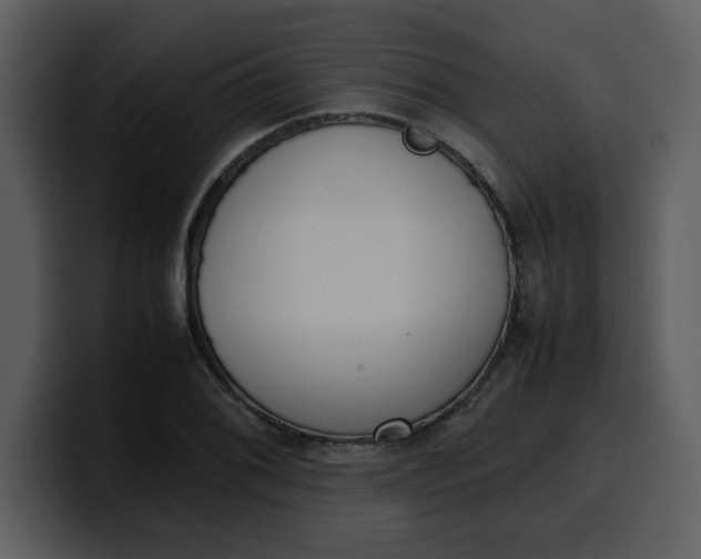 X0000100341076200806191019