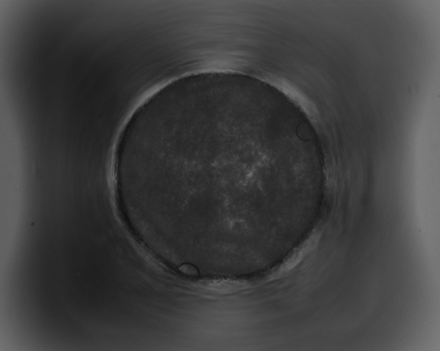 X0000100341077200806191019