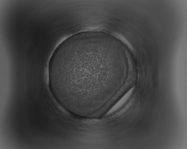 X0000100341079200806191019