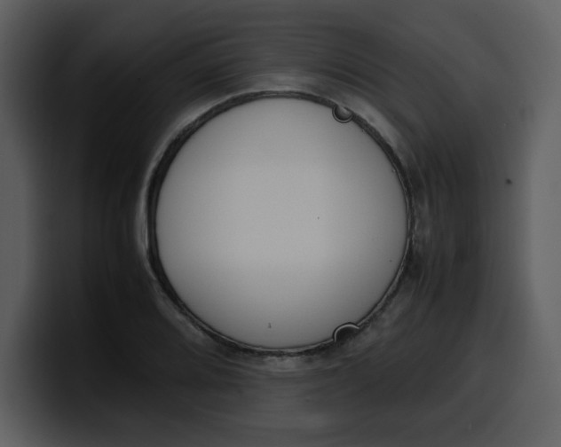 X0000100341080200806191019