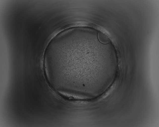 X0000100341081200806191019