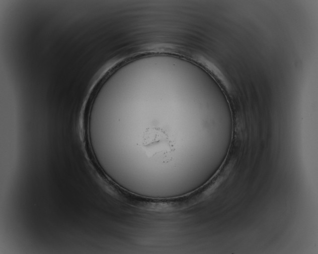 X0000100341082200806191019