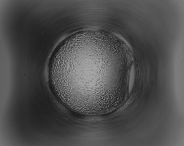 X0000100341083200806191019