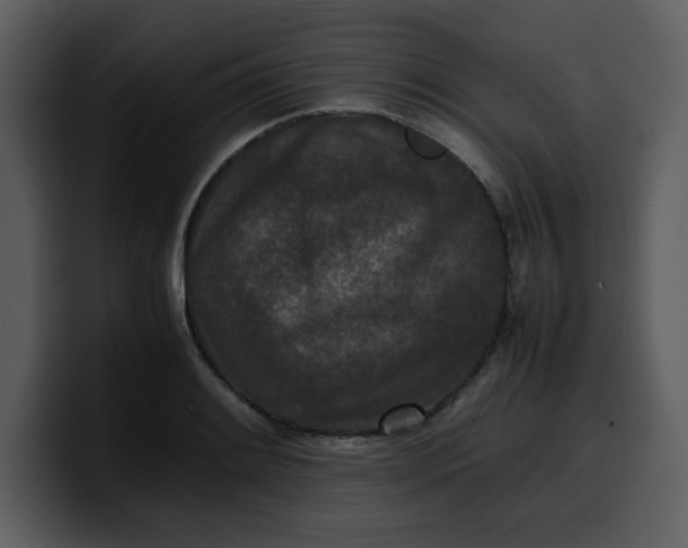 X0000100341084200806191019