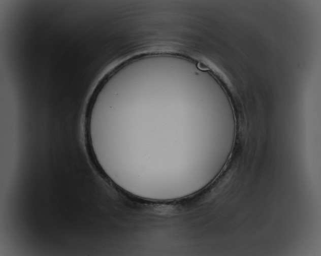 X0000100341085200806191019