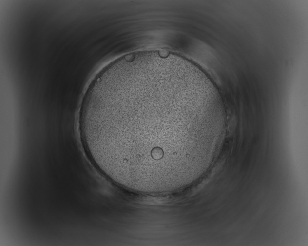 X0000100341086200806191019