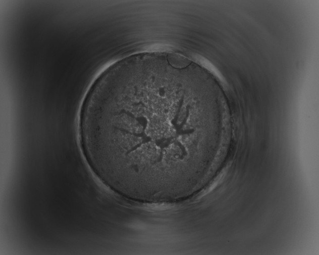 X0000100341087200806191019